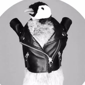 Meet your Posher, Naomi