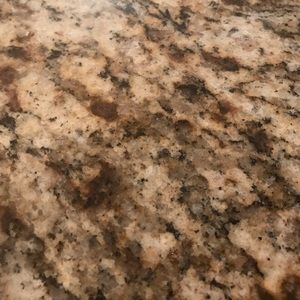 Meet your Posher, Alexi