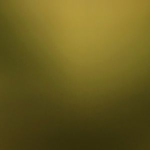 Meet your Posher, Dillon