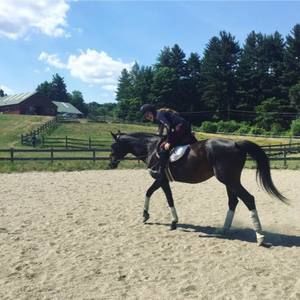 Meet your Posher, Lizzi