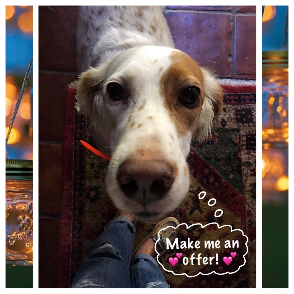 💕 Make me an offer! 💕
🔴 NOT FOR SALE 🔴