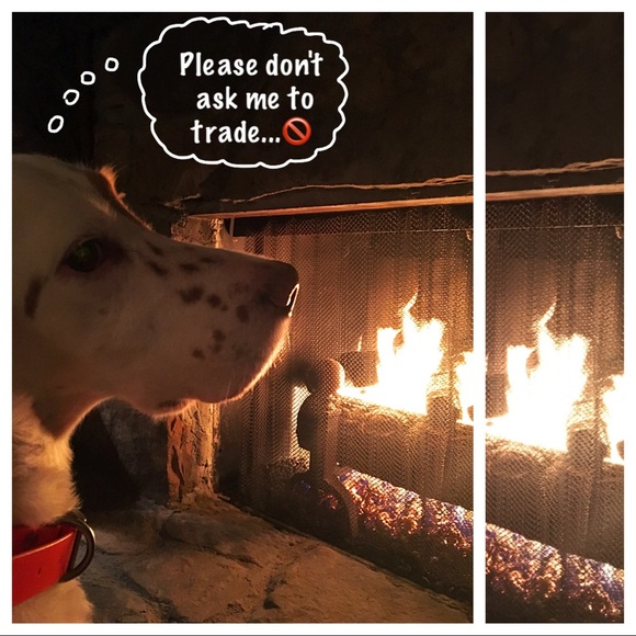 💕 Make me an offer! 💕 - Picture 2 of 2