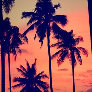 Meet your Posher, Briana