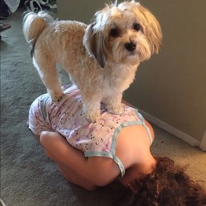 Meet your Posher, Steven