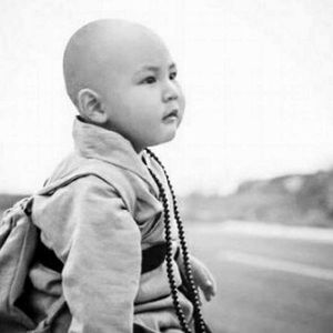 Meet your Posher, Yin