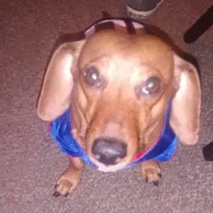 Meet your Posher, Anthony patrick