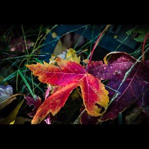 Meet your Posher, Brett