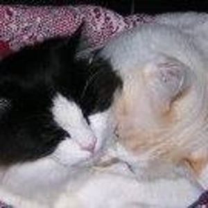 Meet your Posher, Martha