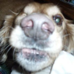 Meet your Posher, Donna