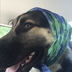 Meet your Posher, Kristine