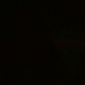 Meet your Posher, Leopoldo