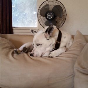 Meet your Posher, Grant