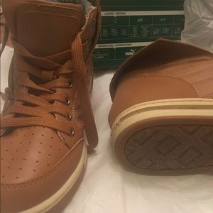 Polo ASSN. Women's Fashion sneakers