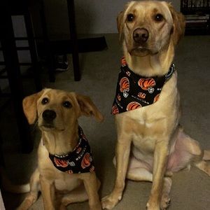 Meet your Posher, Ethan