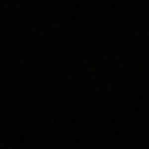 Meet your Posher, Shulonda