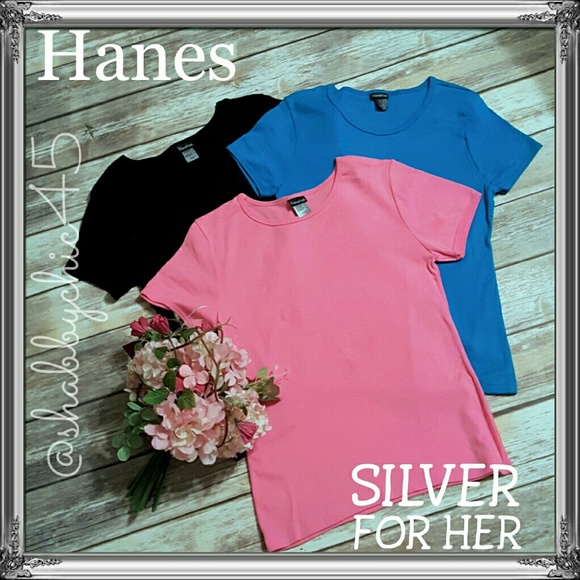 2/$25 Hanes Silver T-shirt (Fitted) Bundle NWOT
