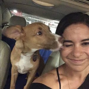 Meet your Posher, Hannah