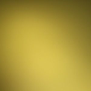 Meet your Posher, Chase