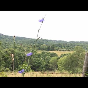 Meet your Posher, Rhonda