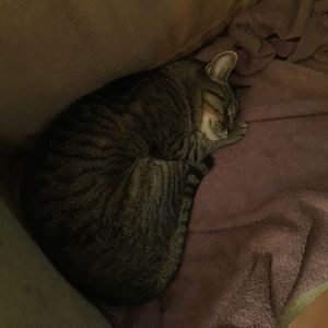 Meet your Posher, Meredith