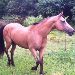 Meet your Posher, Chelsea