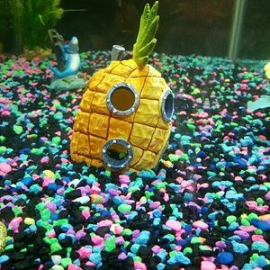 Meet your Posher, Erick