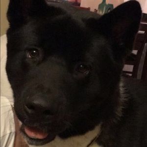 Meet your Posher, Makenzi