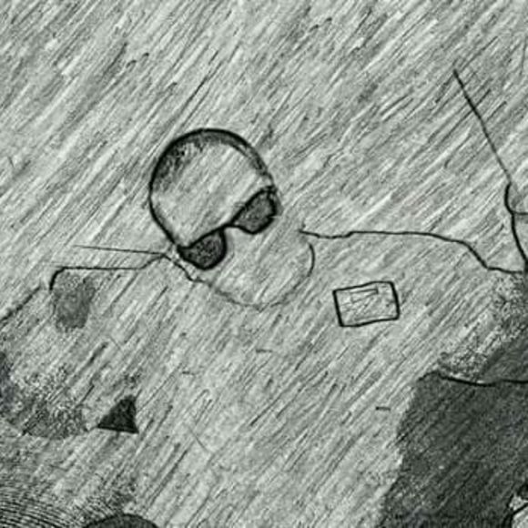 Meet your Posher, Shawn