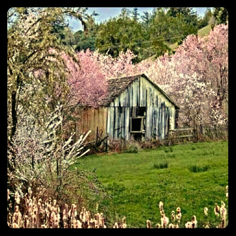 Meet your Posher, Wendy