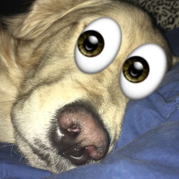 Meet your Posher, Austin