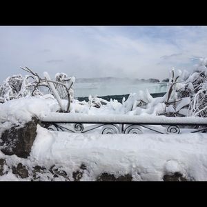 Meet your Posher, Hamid