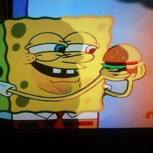 Meet your Posher, Joey