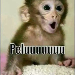 Meet your Posher, Eddie