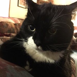 Meet your Posher, Mary