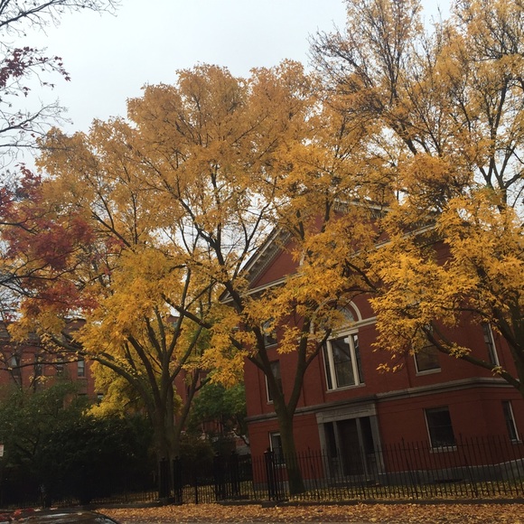 Meet your Posher, Elizabeth - Picture 1 of 1