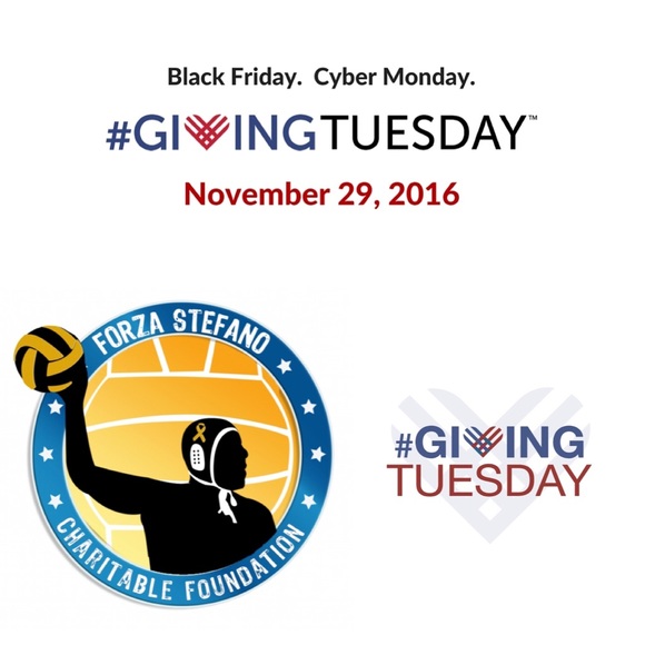 Forza Stefano Charitable Foundation - Picture 1 of 1