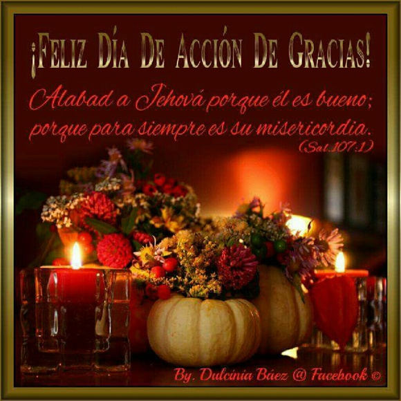 Meet your Posher, Liz - Picture 1 of 1