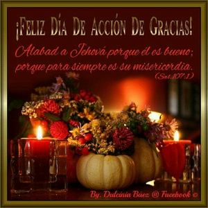 Meet your Posher, Liz