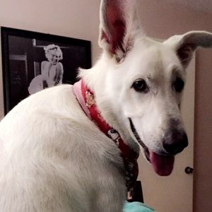 Meet your Posher, Natalie