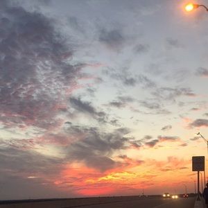 Meet your Posher, Dixie