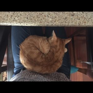 Meet your Posher, Cara