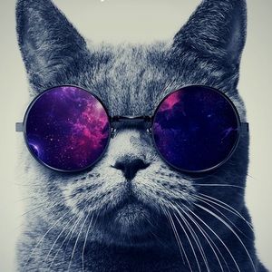 Meet your Posher, Ricky