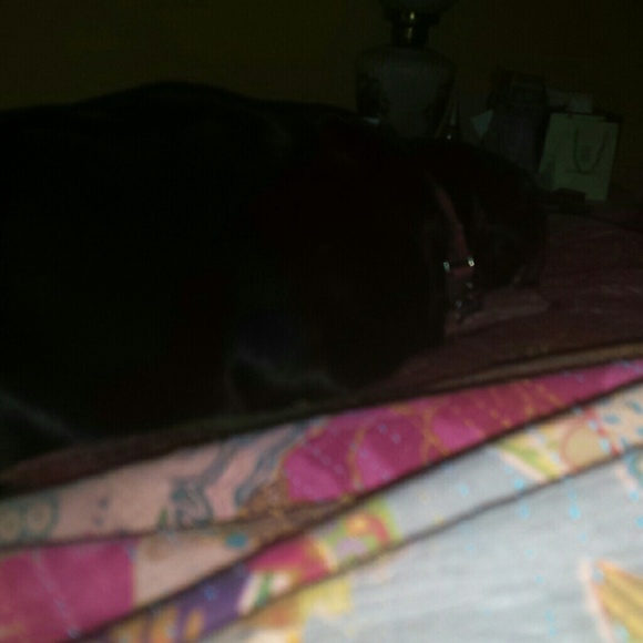 Meet your Posher, Sabrina