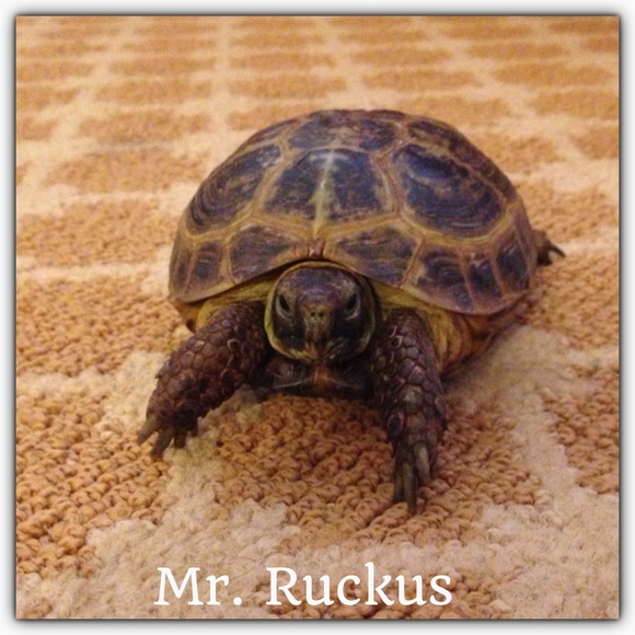 ❤️My Helpers❤️ - Picture 2 of 3