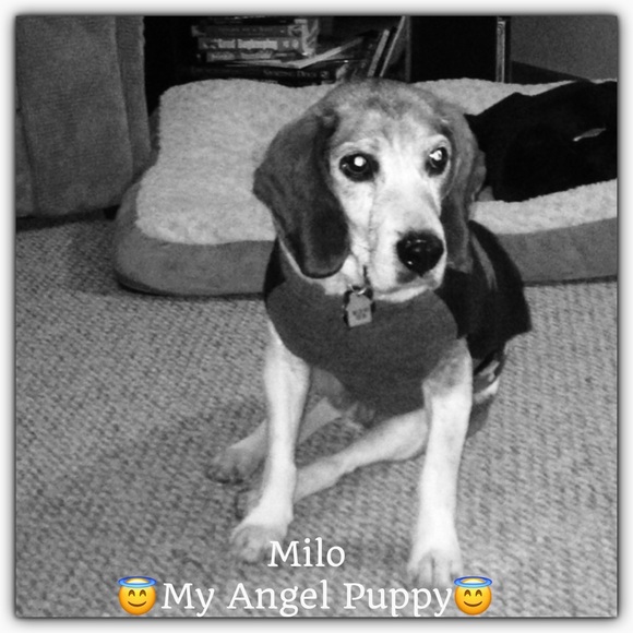 ❤️My Helpers❤️ - Picture 3 of 3