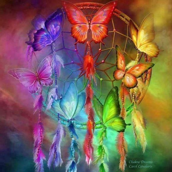 Meet your Posher, Kaysha - Picture 1 of 1