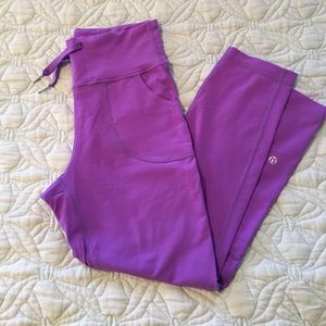 Purple Skinny Will crops