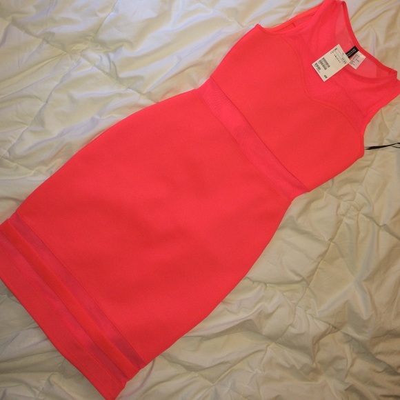 Hot pink/coral mesh mini dress.