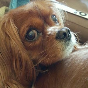 Meet your Posher, Eva rebecca