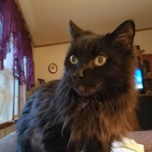 Meet your Posher, Jan